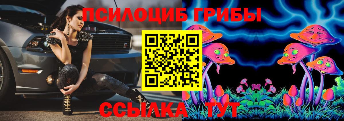 Галлюциногенные грибы Psilocybe  Вход с VPN  Новоалтайск 