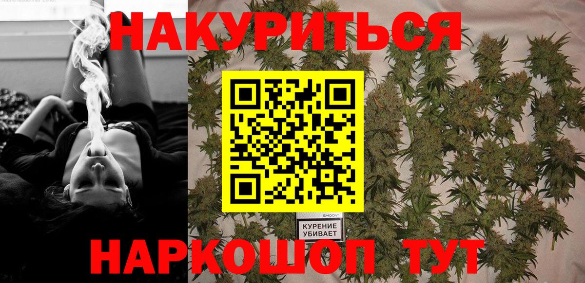 Шишки марихуана сатива  МАРИХУАНА сатива  Вход с VPN  Новоалтайск  Шишки марихуана планчик  Каннабис конопля 